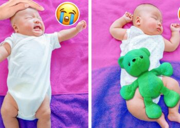 1679607329_maxresdefault-4991463-6725966-jpg