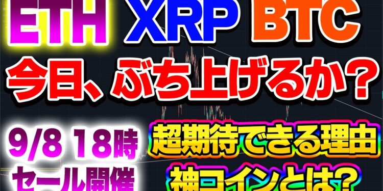 1680312460_maxresdefault-9435715-2073468-jpg