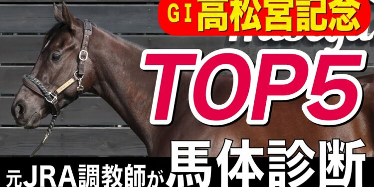 1680488436_maxresdefault-4962450-4591265-jpg