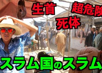 1680832046_maxresdefault-5767046-7329310-jpg