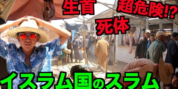 1680832046_maxresdefault-5767046-7329310-jpg