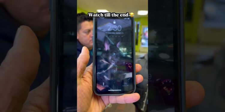 1680970969_maxresdefault-2950949-6646204-jpg