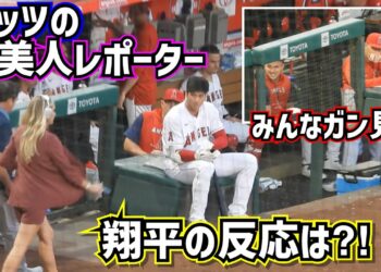 1682249351_maxresdefault-4292811-7305750-jpg