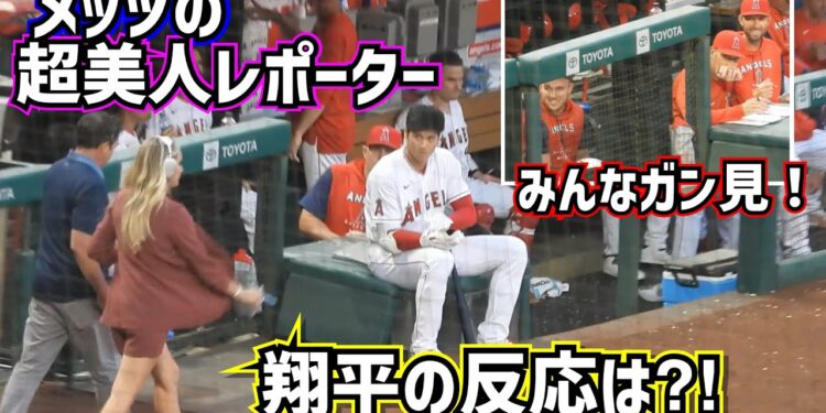 1682249351_maxresdefault-4292811-7305750-jpg