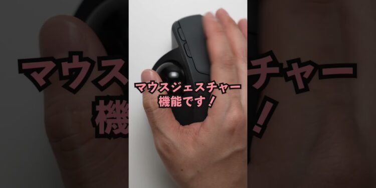 1682366913_maxresdefault-1330065-2018941-jpg