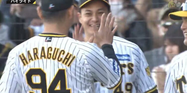 1682480269_maxresdefault-3197144-5336304-jpg