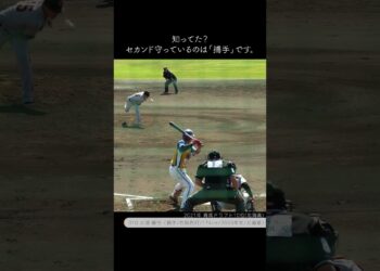 1683086438_maxresdefault-9484753-3255485-jpg