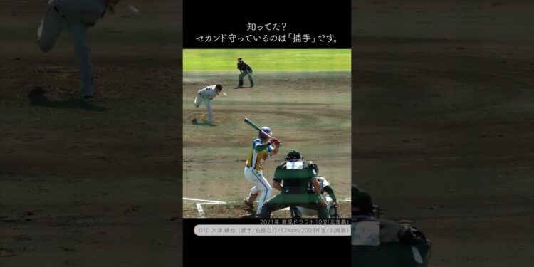 1683086438_maxresdefault-9484753-3255485-jpg