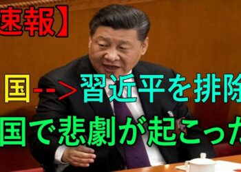 1683166650_maxresdefault-9678089-9516365-jpg