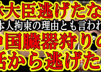 1684031976_maxresdefault-9454032-7884298-jpg