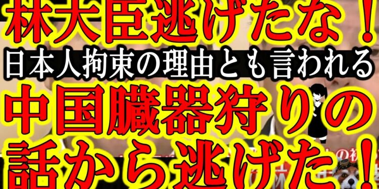 1684031976_maxresdefault-9454032-7884298-jpg