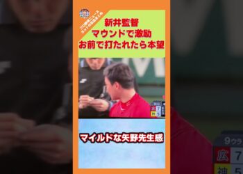 1684096653_maxresdefault-5524826-4777017-jpg