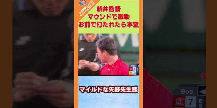 1684096653_maxresdefault-5524826-4777017-jpg