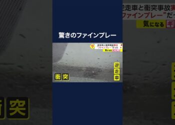 1684327550_maxresdefault-6001453-5329113-jpg