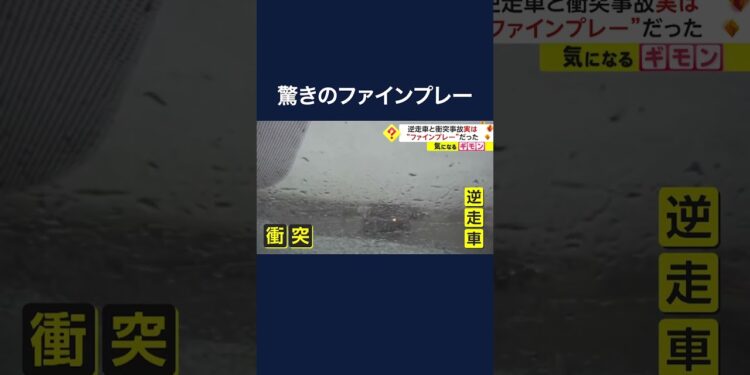 1684327550_maxresdefault-6001453-5329113-jpg