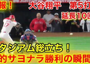 1684356385_maxresdefault-4394310-4414755-jpg