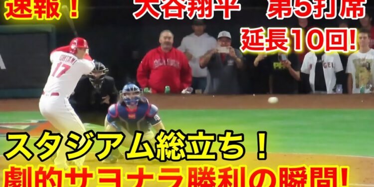 1684356385_maxresdefault-4394310-4414755-jpg