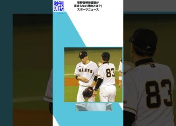 1684471774_maxresdefault-8257983-8482002-jpg