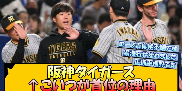 1684529463_maxresdefault-7169595-1242026-jpg