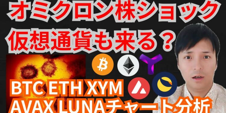 1684728959_maxresdefault-9271027-4853101-jpg