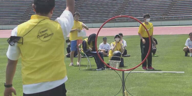 1684789248_maxresdefault-9444309-2455052-jpg