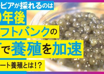 1685424328_maxresdefault-3992602-1244766-jpg