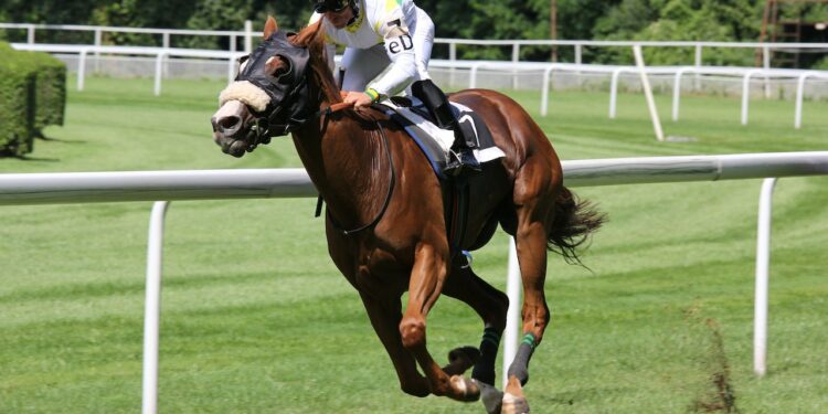 pexels-daniel-158976