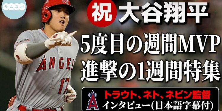 1688195177_maxresdefault-6125626-5999919-jpg