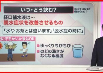 1688339450_maxresdefault-4853167-1725705-jpg