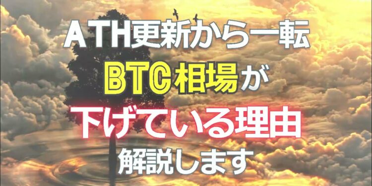 1688366164_maxresdefault-2960779-4740957-jpg