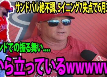 1688714646_maxresdefault-8786059-8712656-jpg