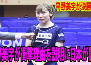 1688858942_maxresdefault-2503065-2177434-jpg