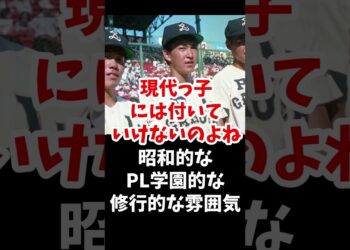 1689205247_maxresdefault-1562085-8139223-jpg