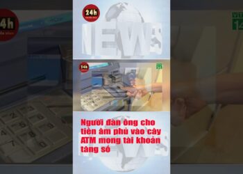 1691041315_maxresdefault-2000479-2229110-jpg