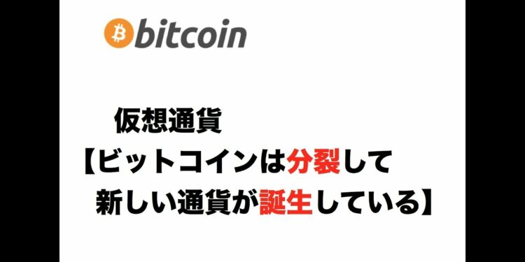 1691252613_maxresdefault-7238192-5403474-jpg