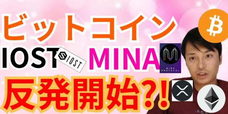 1691310395_maxresdefault-1811439-6683377-jpg