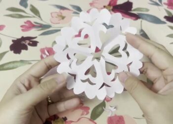 1691341253_maxresdefault-6826813-4135692-jpg