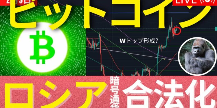 1691714452_maxresdefault-4340569-2367121-jpg