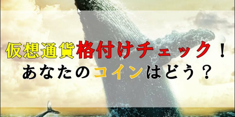 1691858809_maxresdefault-2611238-9538759-jpg