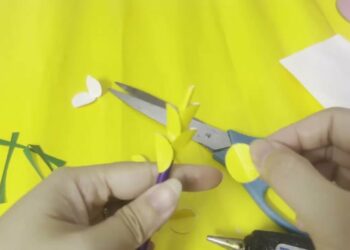 1691860674_maxresdefault-2579154-5746499-jpg