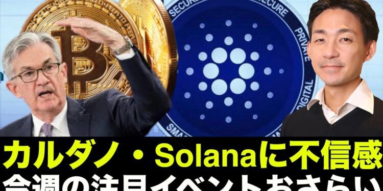 1691916548_maxresdefault-5565824-2726126-jpg