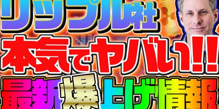 1692147535_maxresdefault-7661264-3916494-jpg