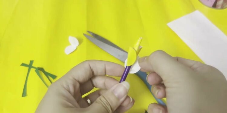 1692293688_maxresdefault-7859754-2606022-jpg