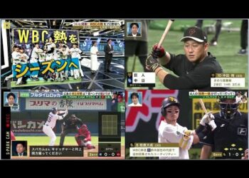 1692409185_hqdefault-4328639-7047522-jpg