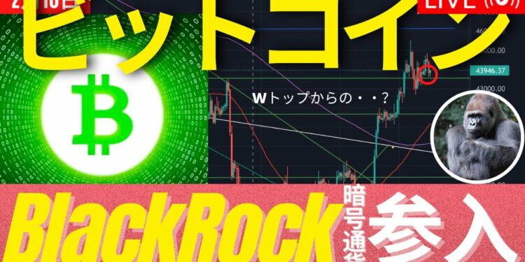 1692840348_maxresdefault-3948446-9752448-jpg