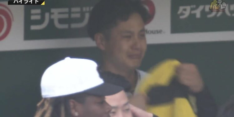 1693333008_maxresdefault-9562734-8195614-jpg