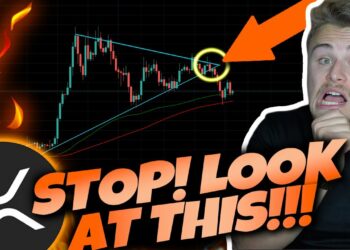 1693561972_maxresdefault-1476632-6026493-jpg