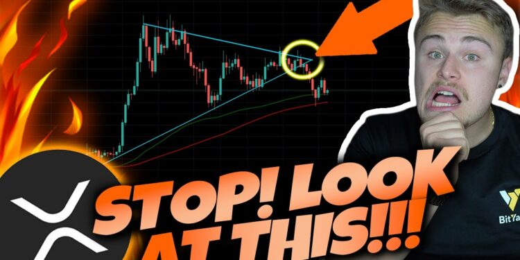 1693561972_maxresdefault-1476632-6026493-jpg