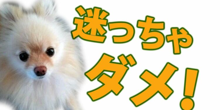 1693590897_maxresdefault-8103531-8767141-jpg