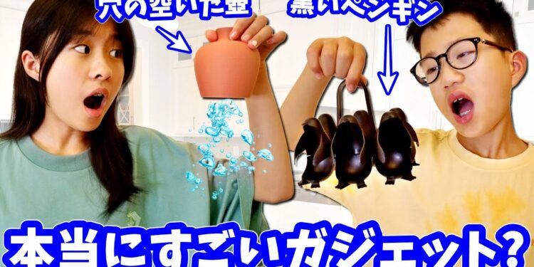 1693826638_maxresdefault-3881481-5409600-jpg